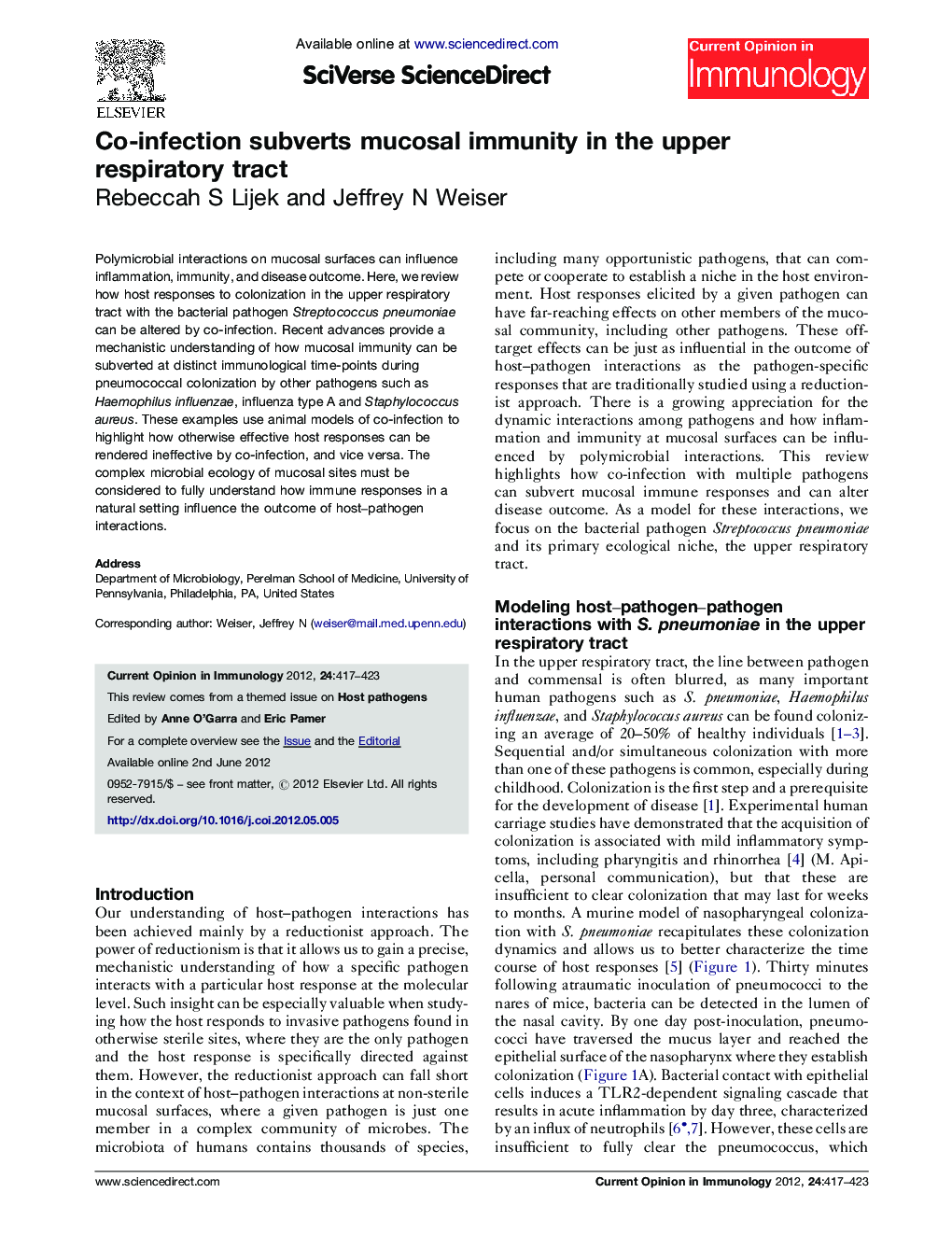 Co-infection subverts mucosal immunity in the upper respiratory tract