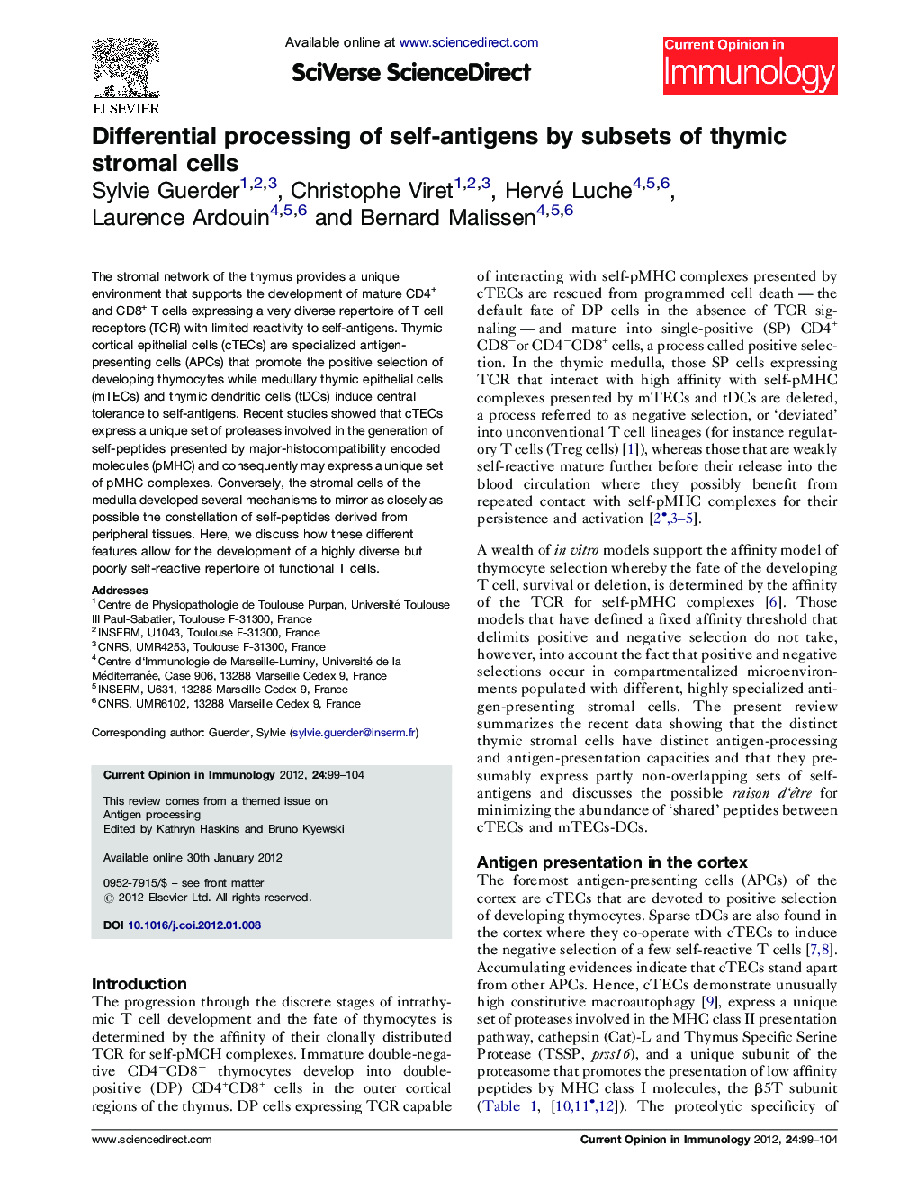 Differential processing of self-antigens by subsets of thymic stromal cells
