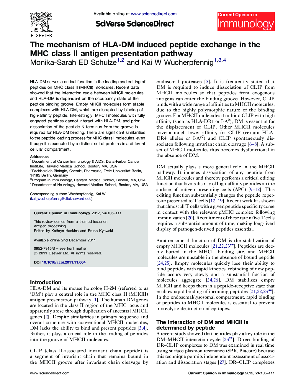 The mechanism of HLA-DM induced peptide exchange in the MHC class II antigen presentation pathway