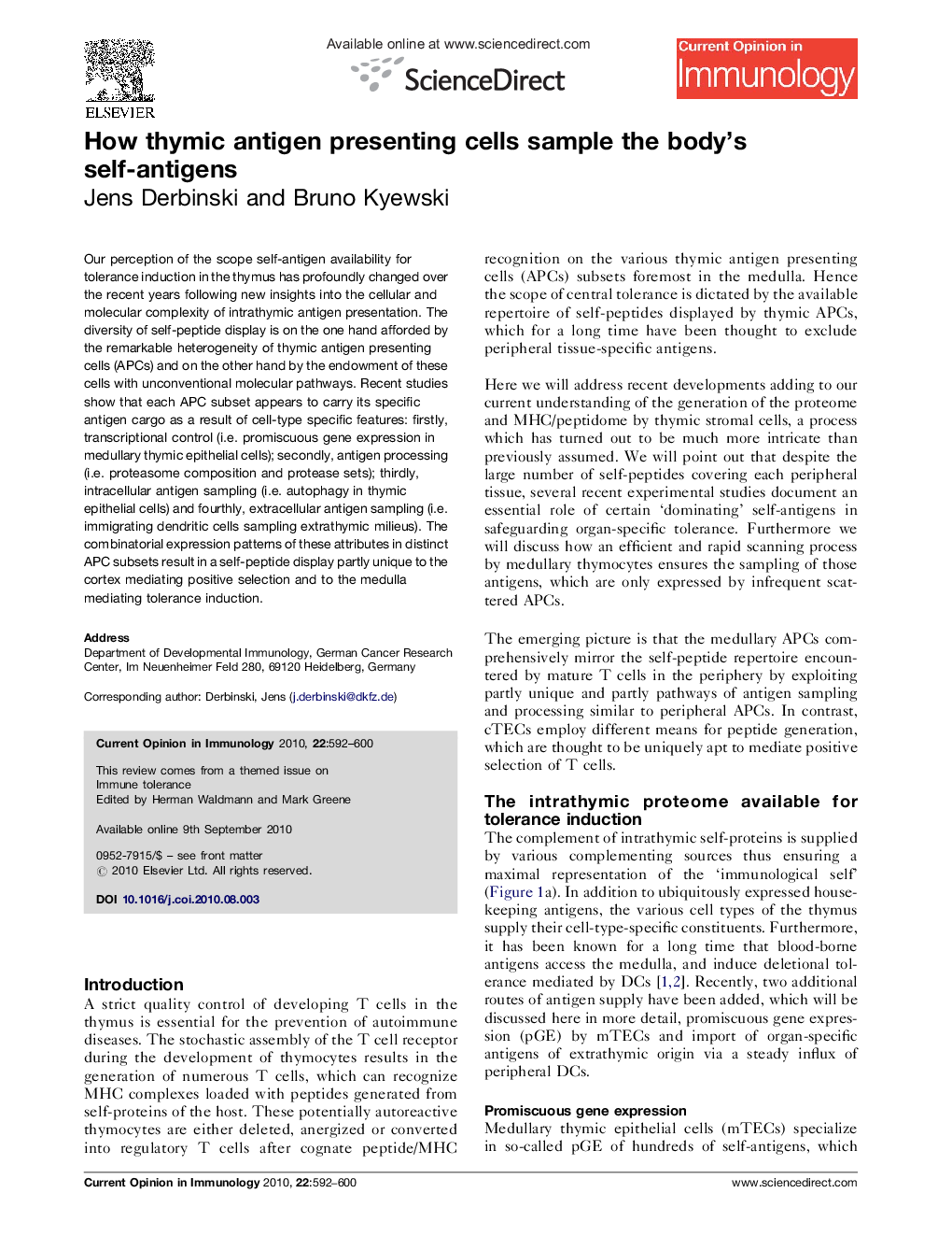 How thymic antigen presenting cells sample the body's self-antigens