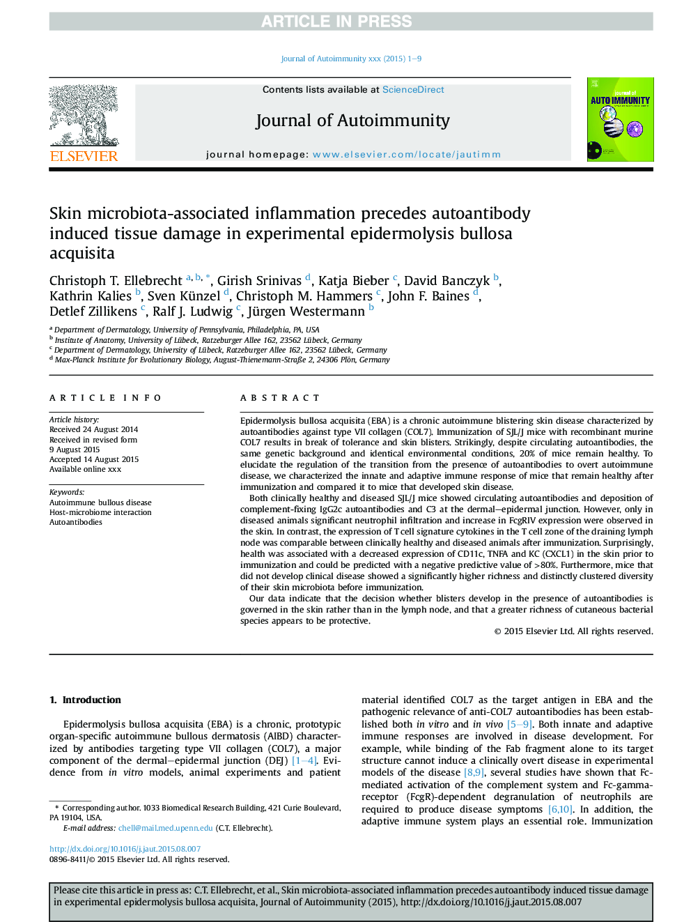 Skin microbiota-associated inflammation precedes autoantibody induced tissue damage in experimental epidermolysis bullosa acquisita