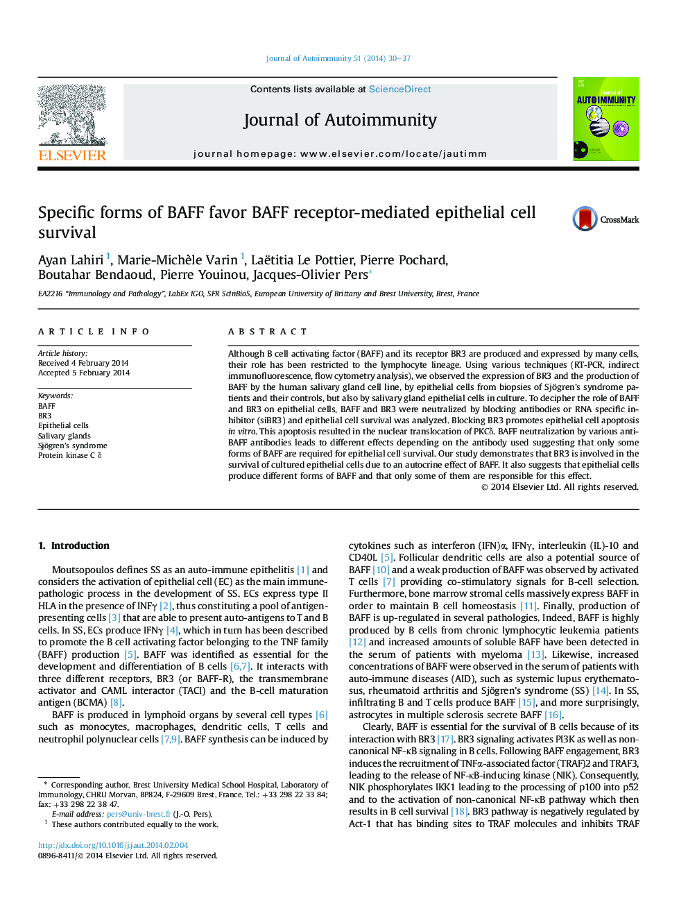 Specific forms of BAFF favor BAFF receptor-mediated epithelial cell survival