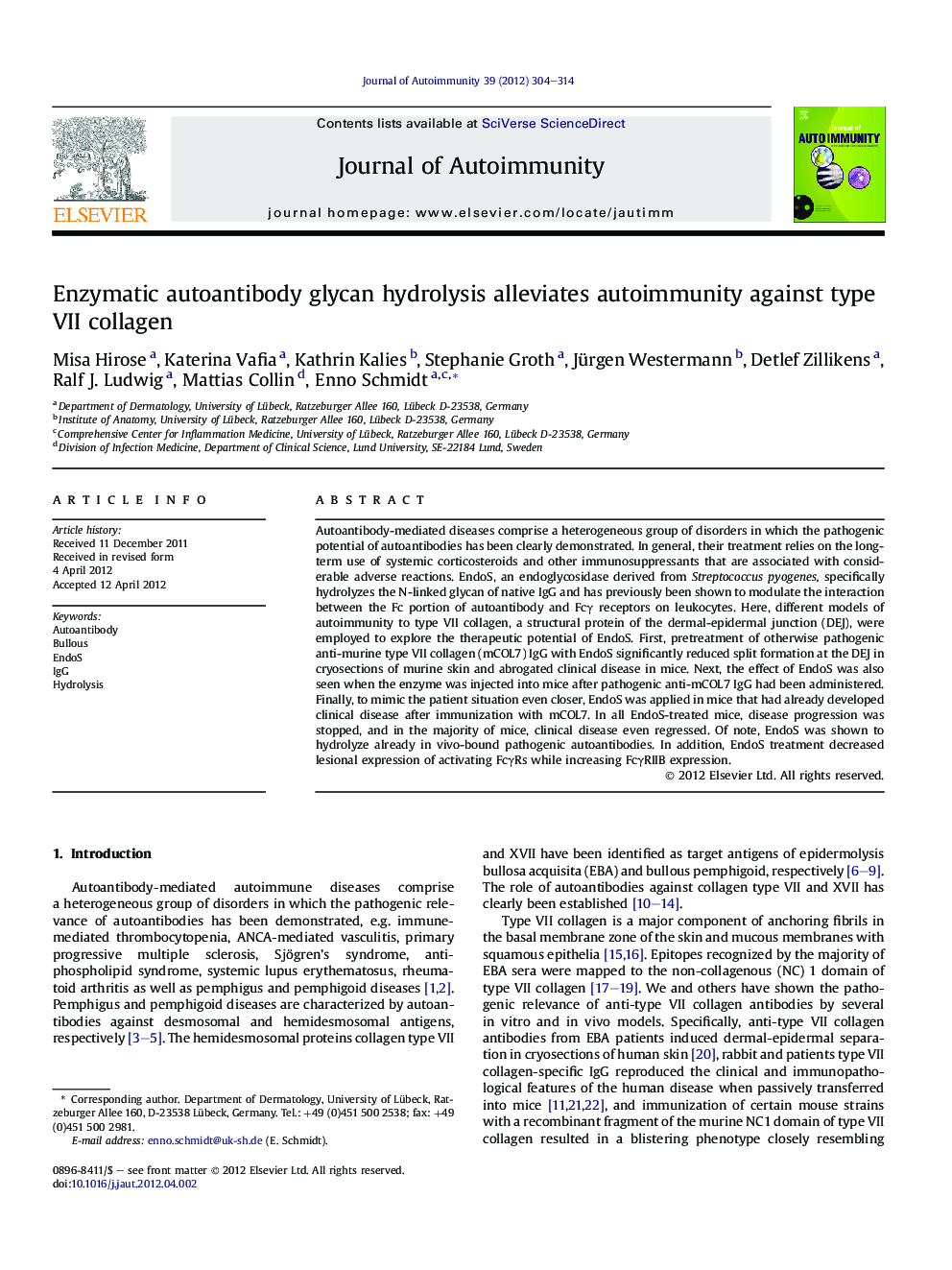 Enzymatic autoantibody glycan hydrolysis alleviates autoimmunity against type VII collagen