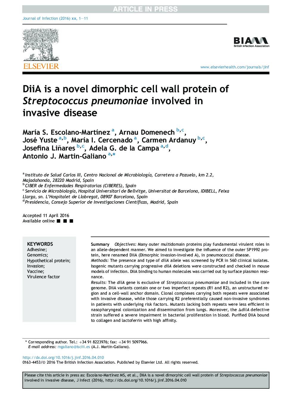 DiiA is a novel dimorphic cell wall protein of Streptococcus pneumoniae involved in invasive disease