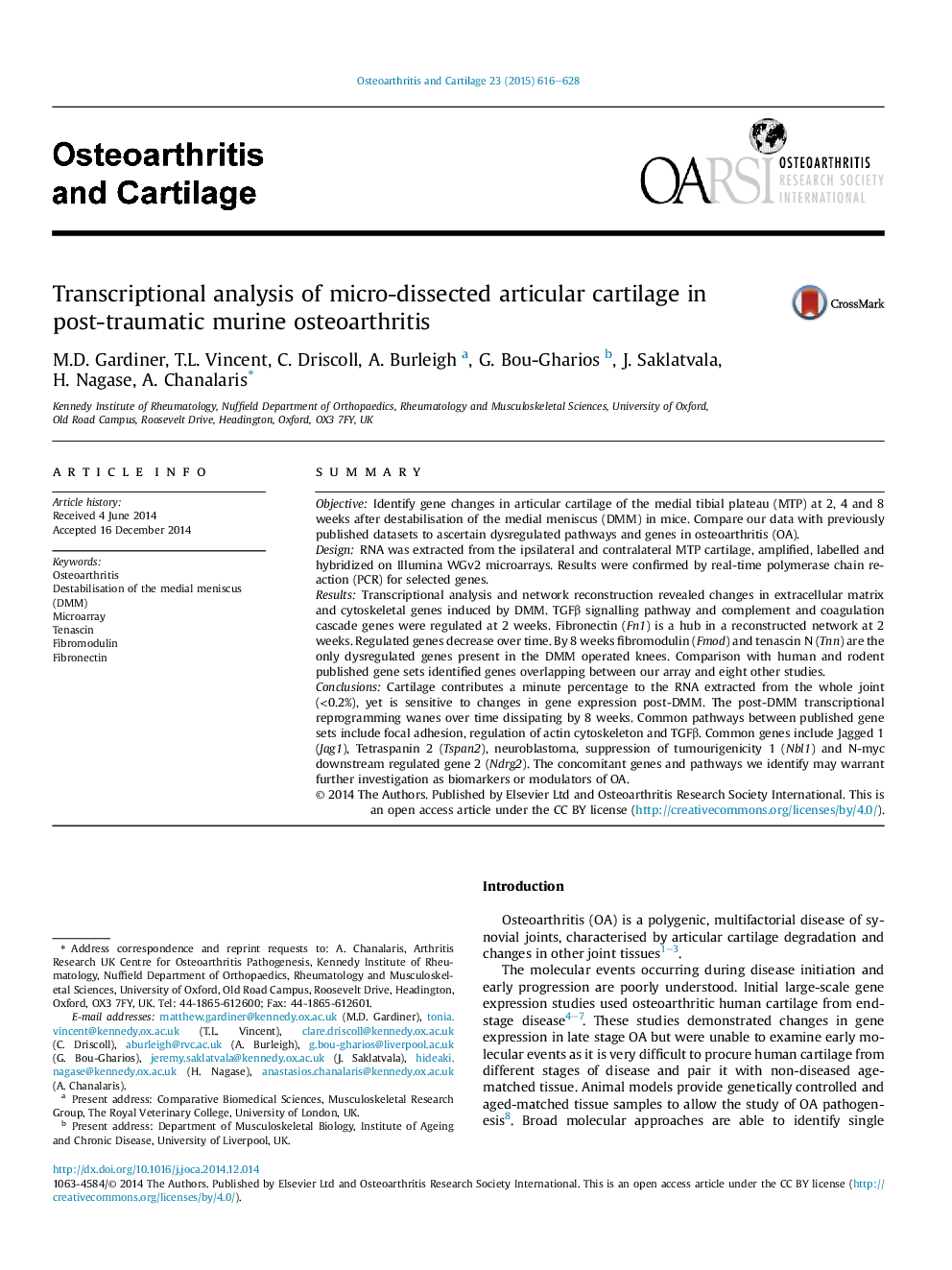 Transcriptional analysis of micro-dissected articular cartilage in post-traumatic murine osteoarthritis