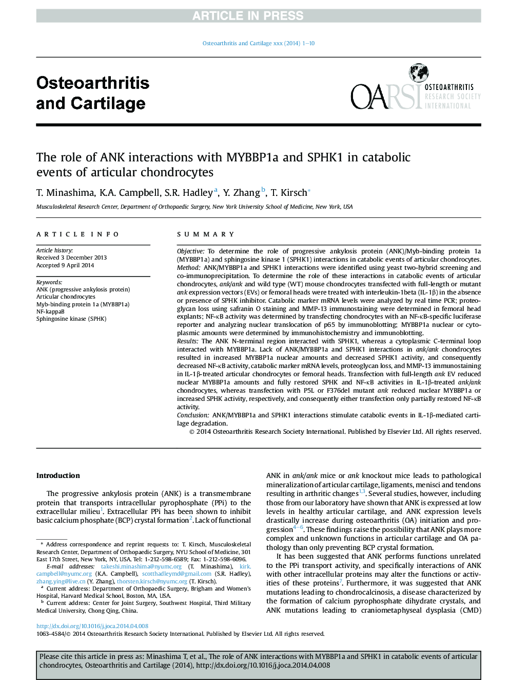 The role of ANK interactions with MYBBP1a and SPHK1 in catabolic events of articular chondrocytes