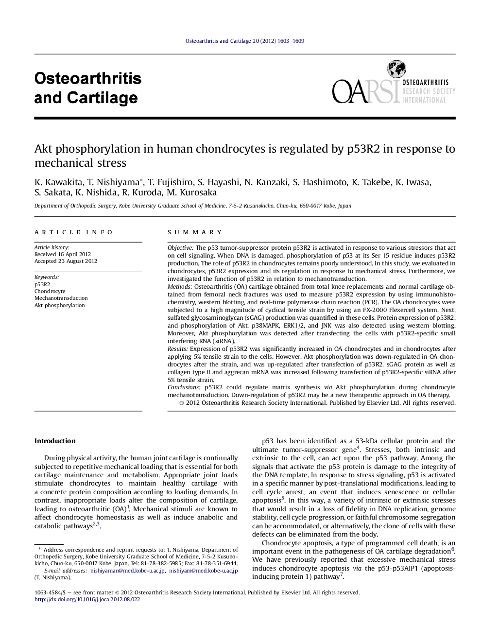 Akt phosphorylation in human chondrocytes is regulated by p53R2 in response to mechanical stress