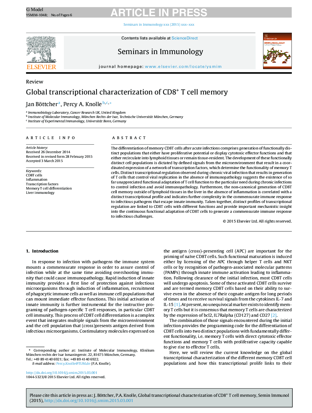 Global transcriptional characterization of CD8+ T cell memory