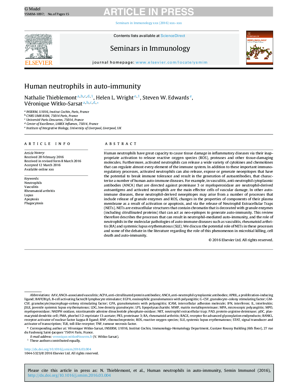 Human neutrophils in auto-immunity