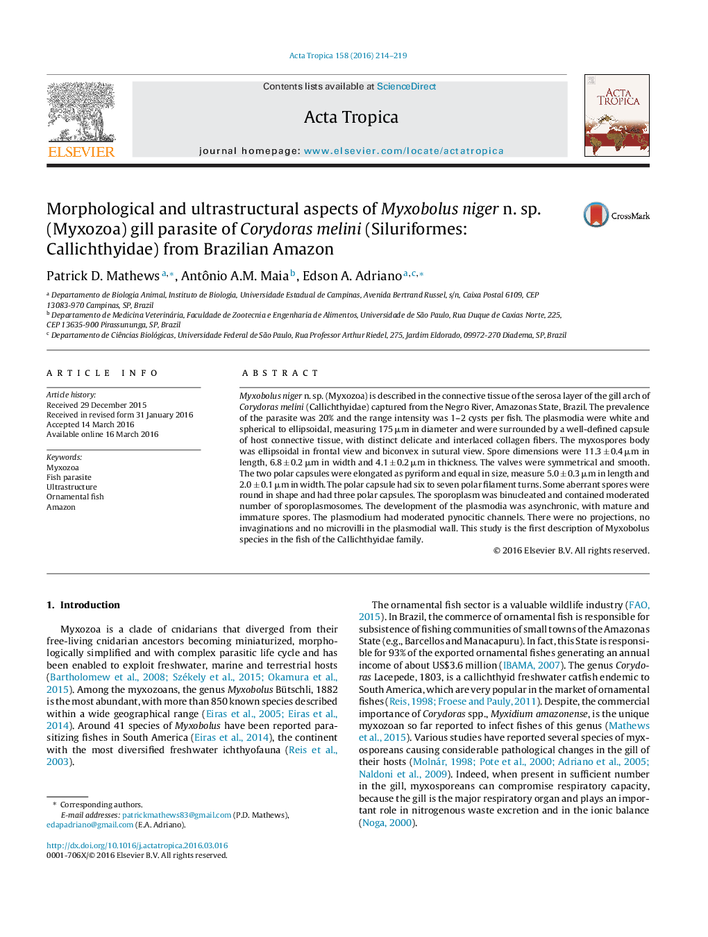 Morphological and ultrastructural aspects of Myxobolus niger n. sp. (Myxozoa) gill parasite of Corydoras melini (Siluriformes: Callichthyidae) from Brazilian Amazon