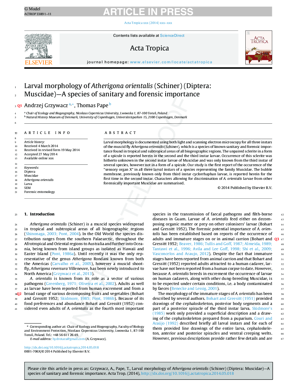 Larval morphology of Atherigona orientalis (Schiner) (Diptera: Muscidae) -A species of sanitary and forensic importance