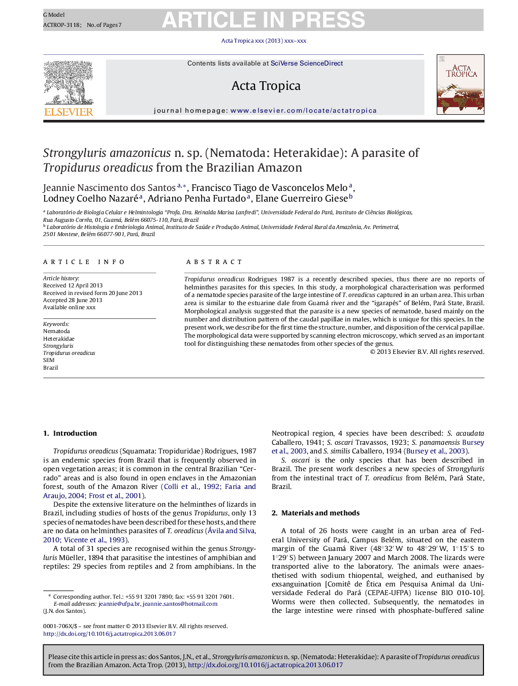 Strongyluris amazonicus n. sp. (Nematoda: Heterakidae): A parasite of Tropidurus oreadicus from the Brazilian Amazon