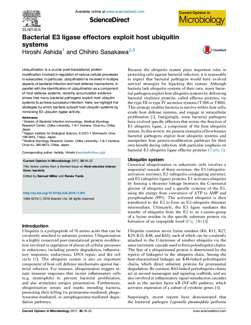 Bacterial E3 ligase effectors exploit host ubiquitin systems