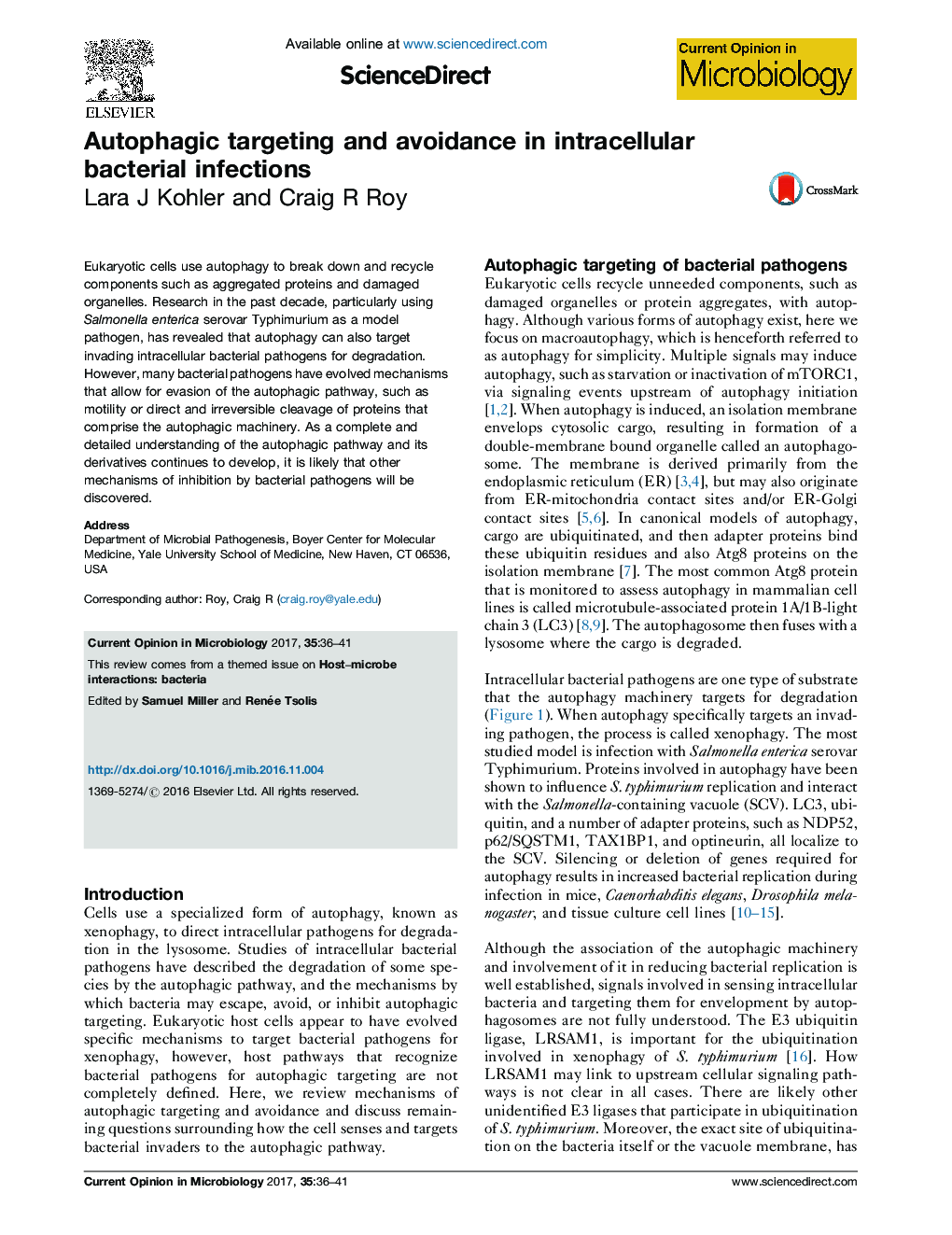 Autophagic targeting and avoidance in intracellular bacterial infections