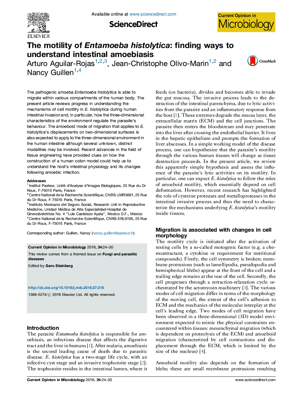 The motility of Entamoeba histolytica: finding ways to understand intestinal amoebiasis