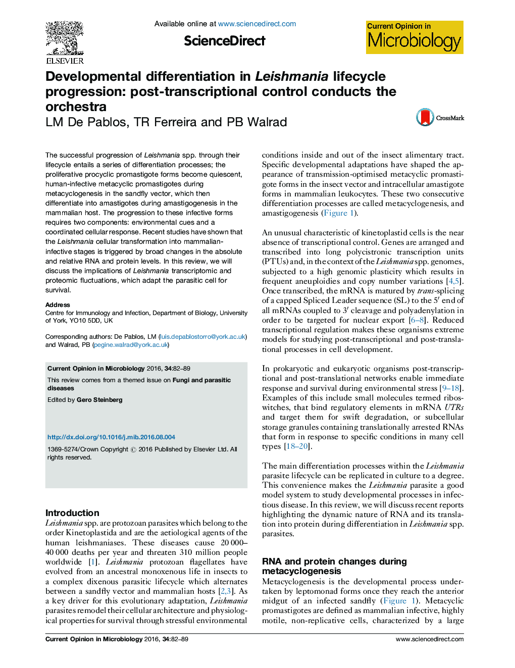 Developmental differentiation in Leishmania lifecycle progression: post-transcriptional control conducts the orchestra