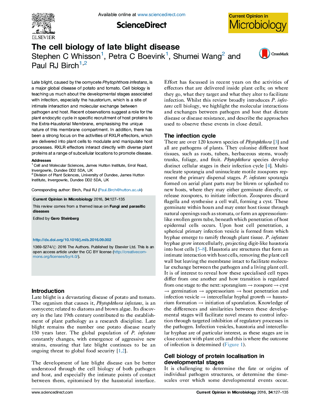 The cell biology of late blight disease