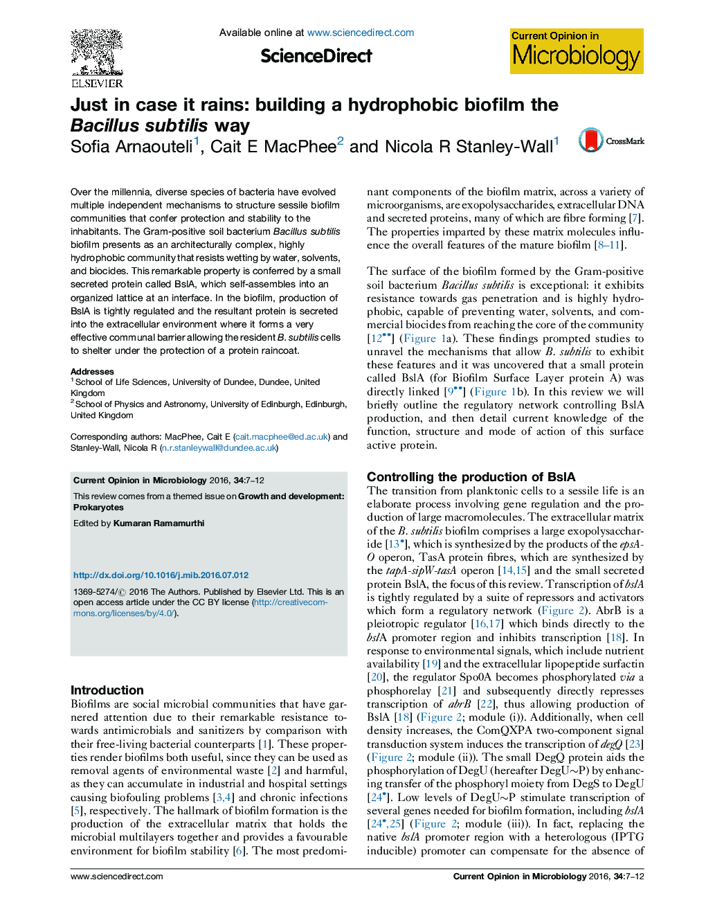 Just in case it rains: building a hydrophobic biofilm the Bacillus subtilis way