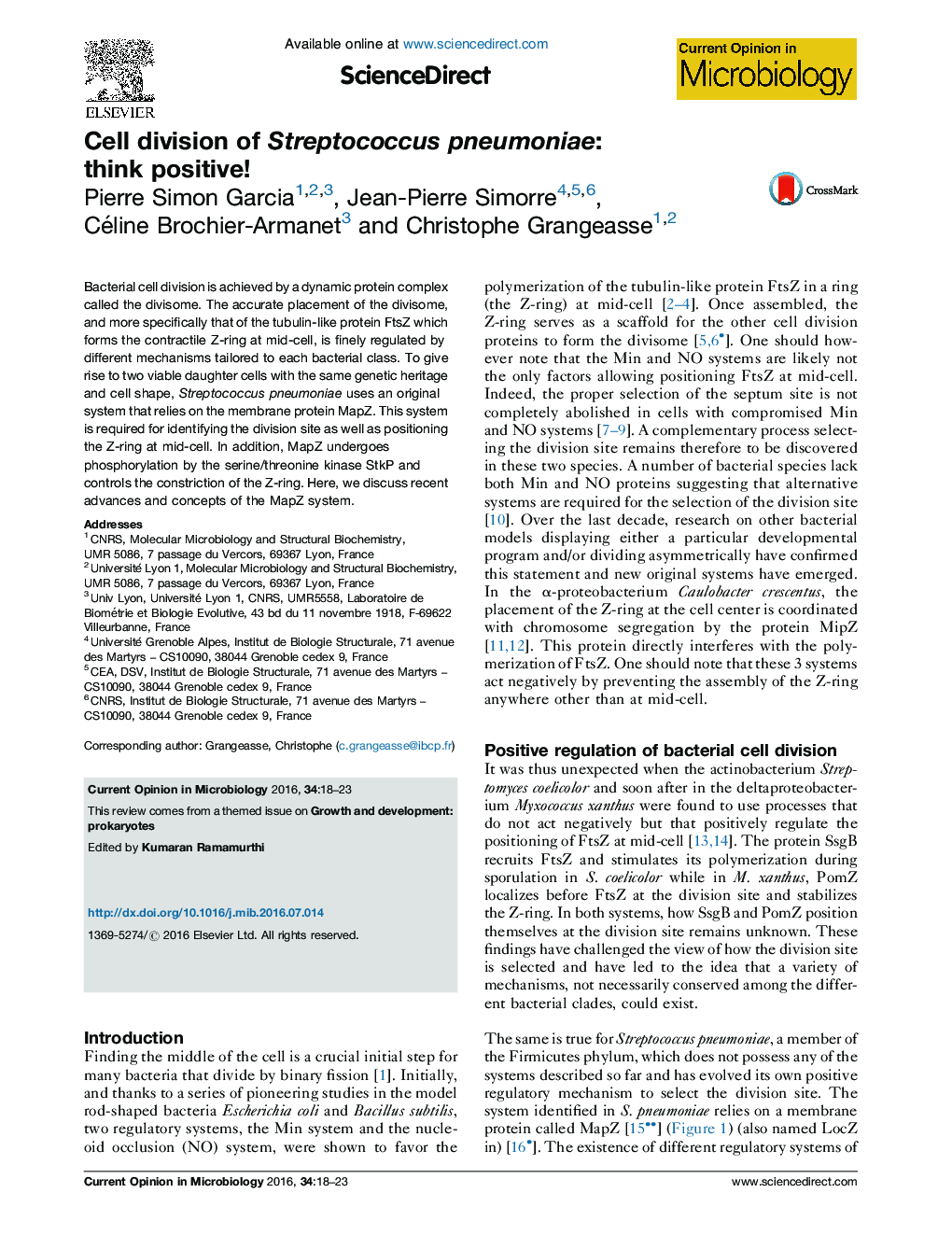 Cell division of Streptococcus pneumoniae: think positive!