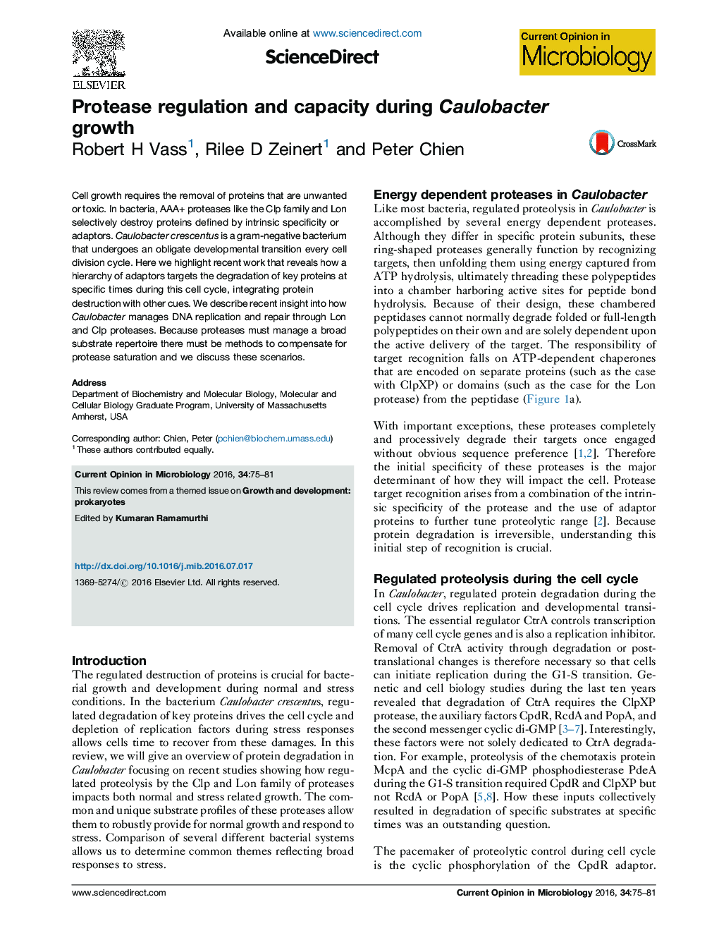 Protease regulation and capacity during Caulobacter growth