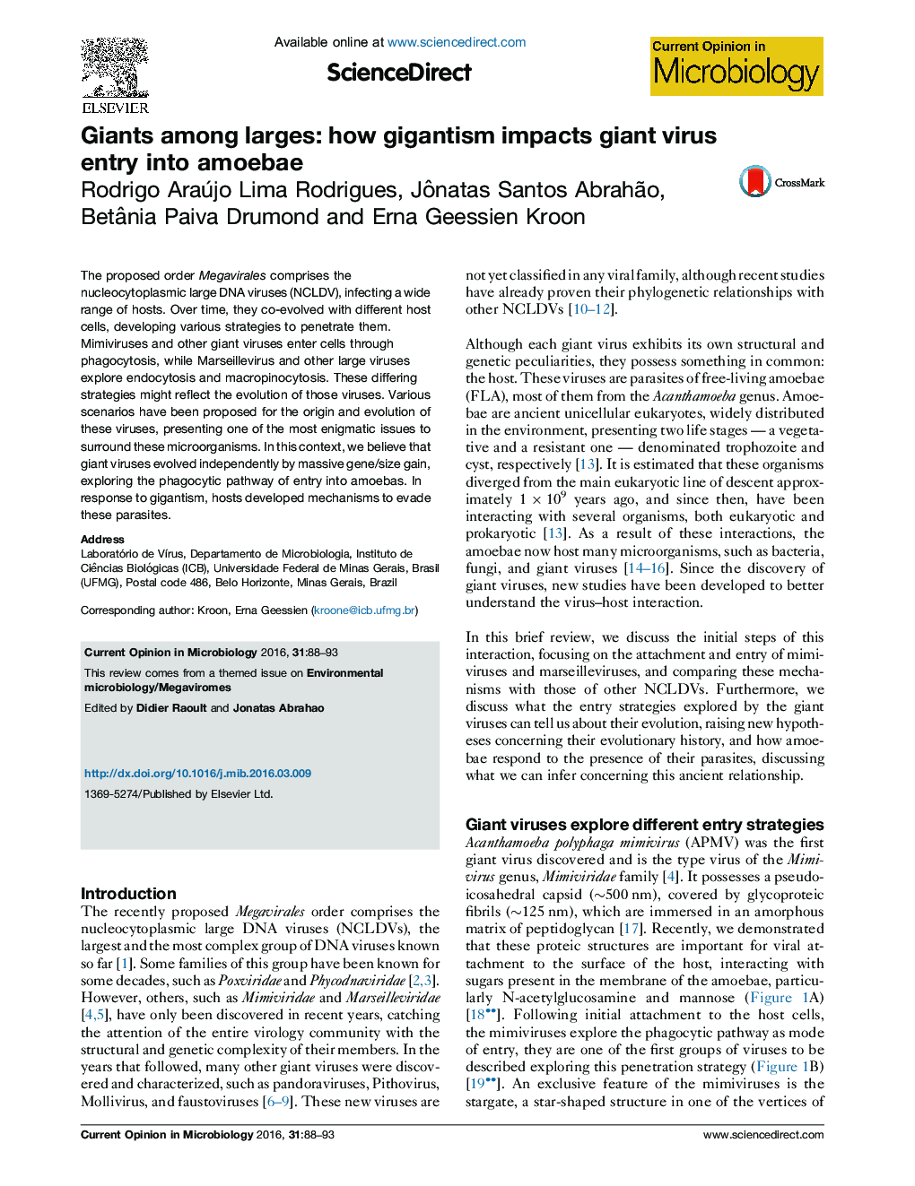 Giants among larges: how gigantism impacts giant virus entry into amoebae