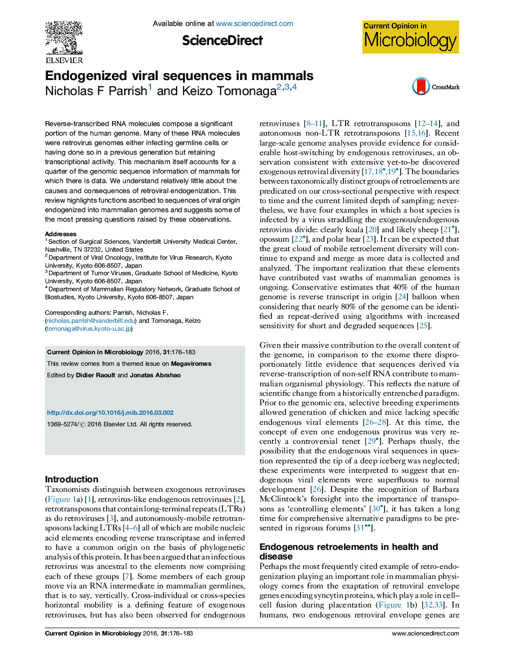 Endogenized viral sequences in mammals