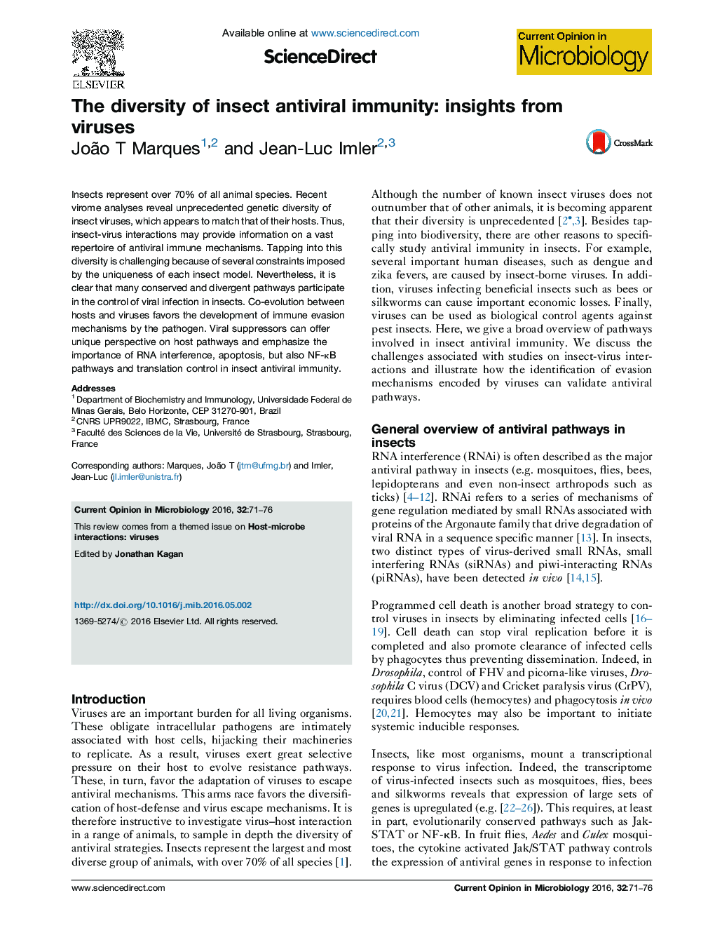 The diversity of insect antiviral immunity: insights from viruses