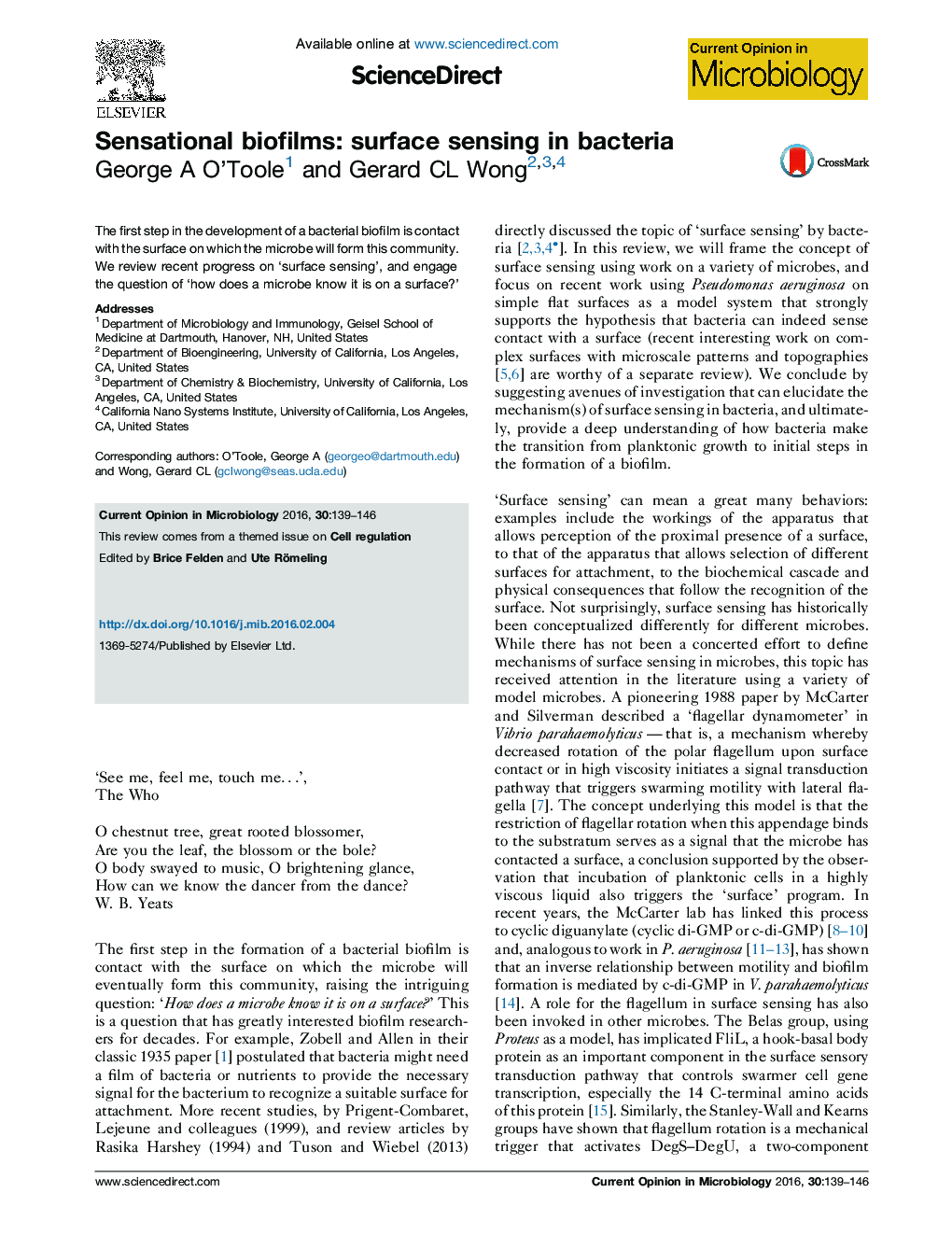 Sensational biofilms: surface sensing in bacteria