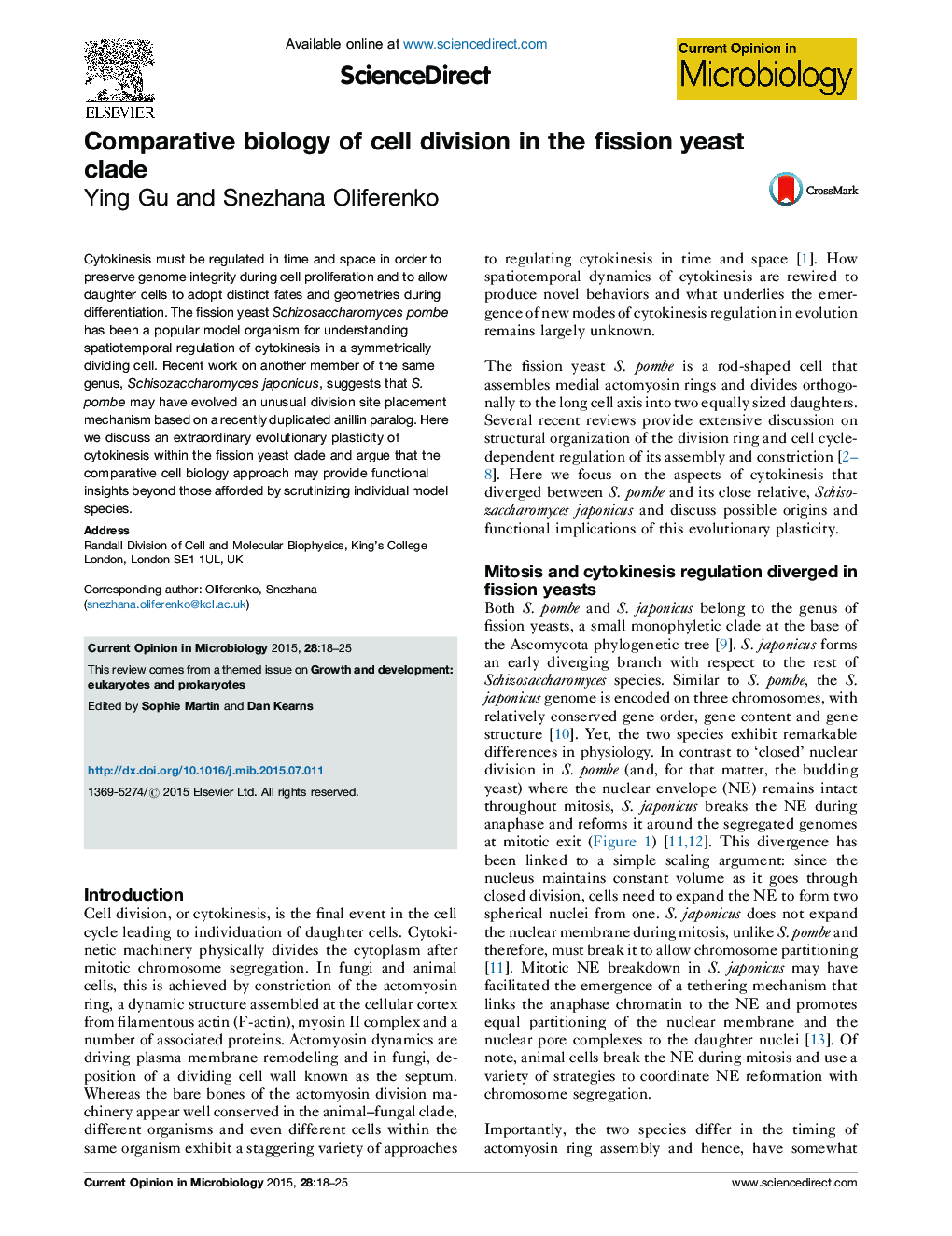 Comparative biology of cell division in the fission yeast clade