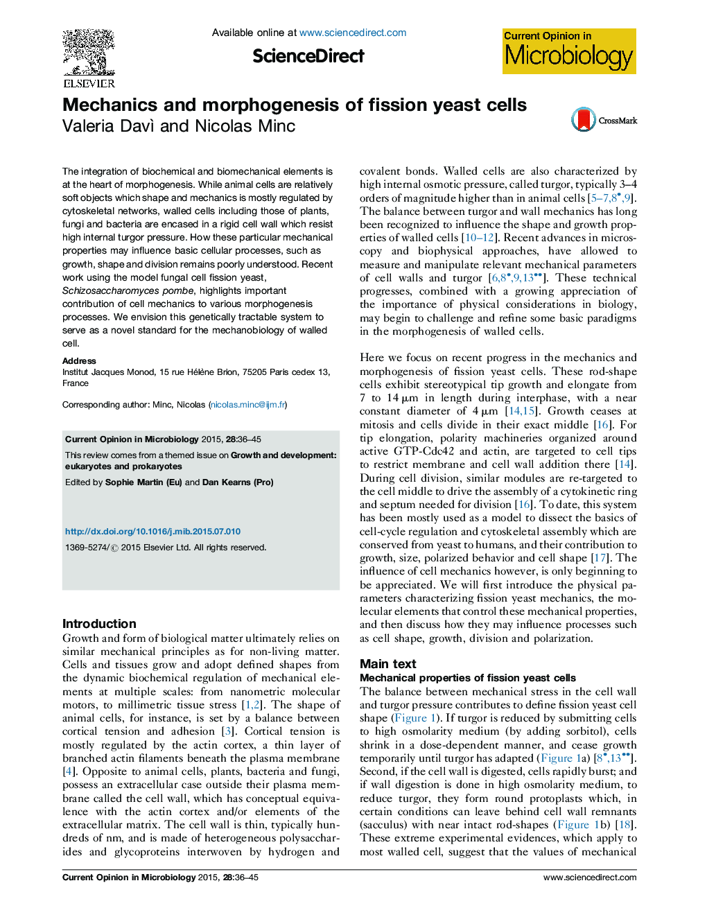 Mechanics and morphogenesis of fission yeast cells