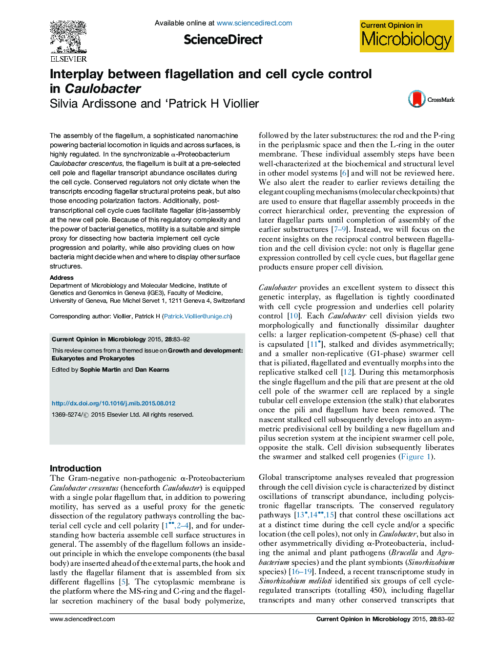 Interplay between flagellation and cell cycle control in Caulobacter