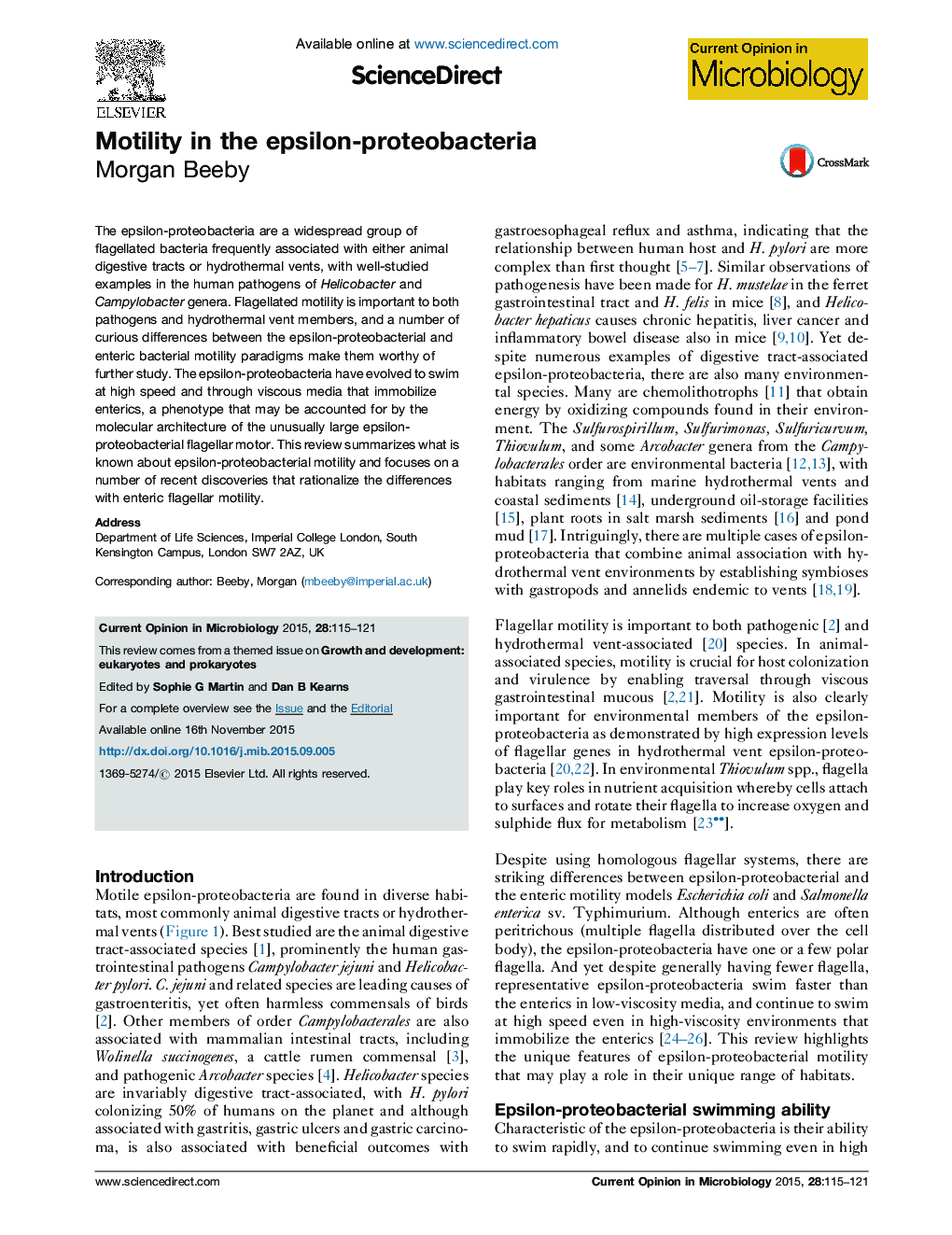 Motility in the epsilon-proteobacteria