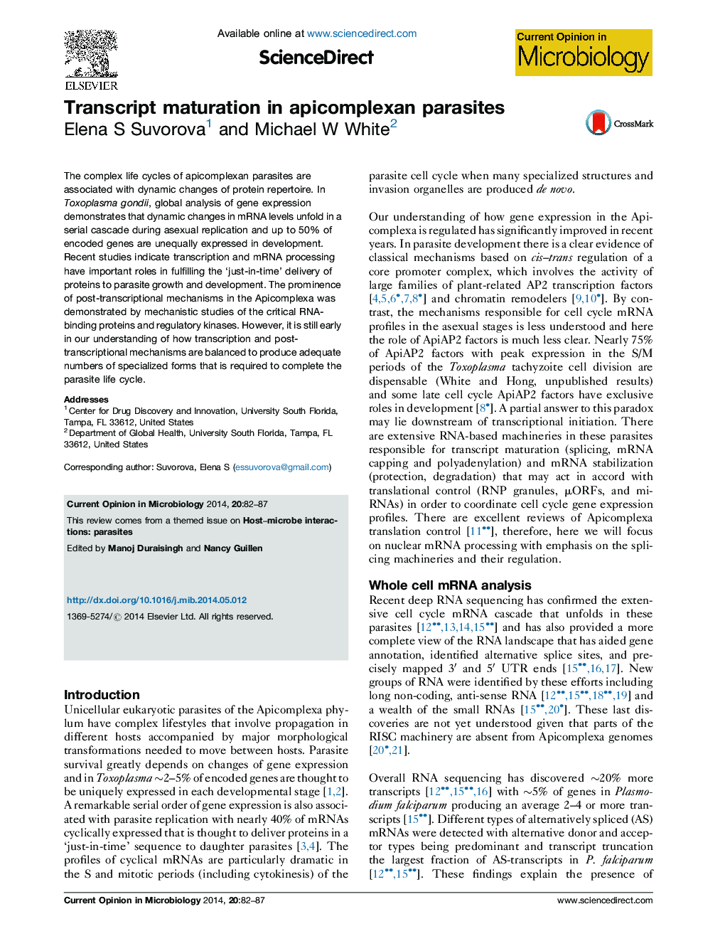 Transcript maturation in apicomplexan parasites