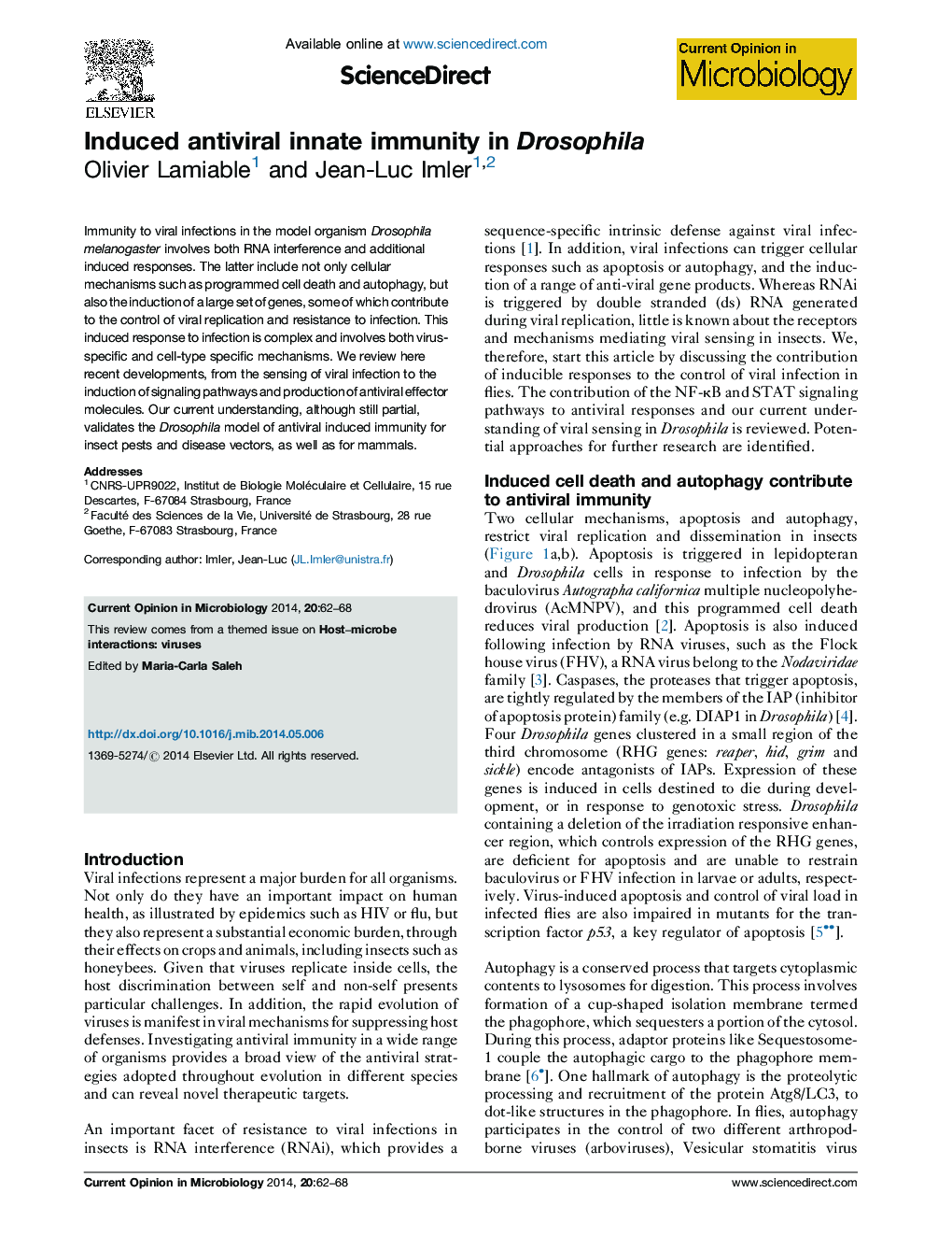 Induced antiviral innate immunity in Drosophila