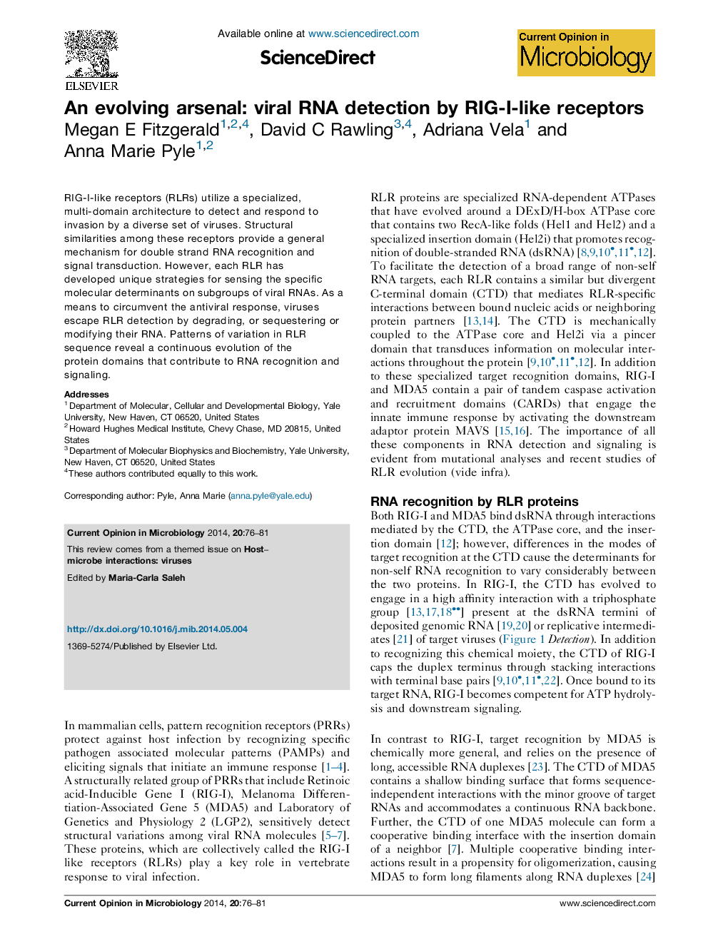 An evolving arsenal: viral RNA detection by RIG-I-like receptors