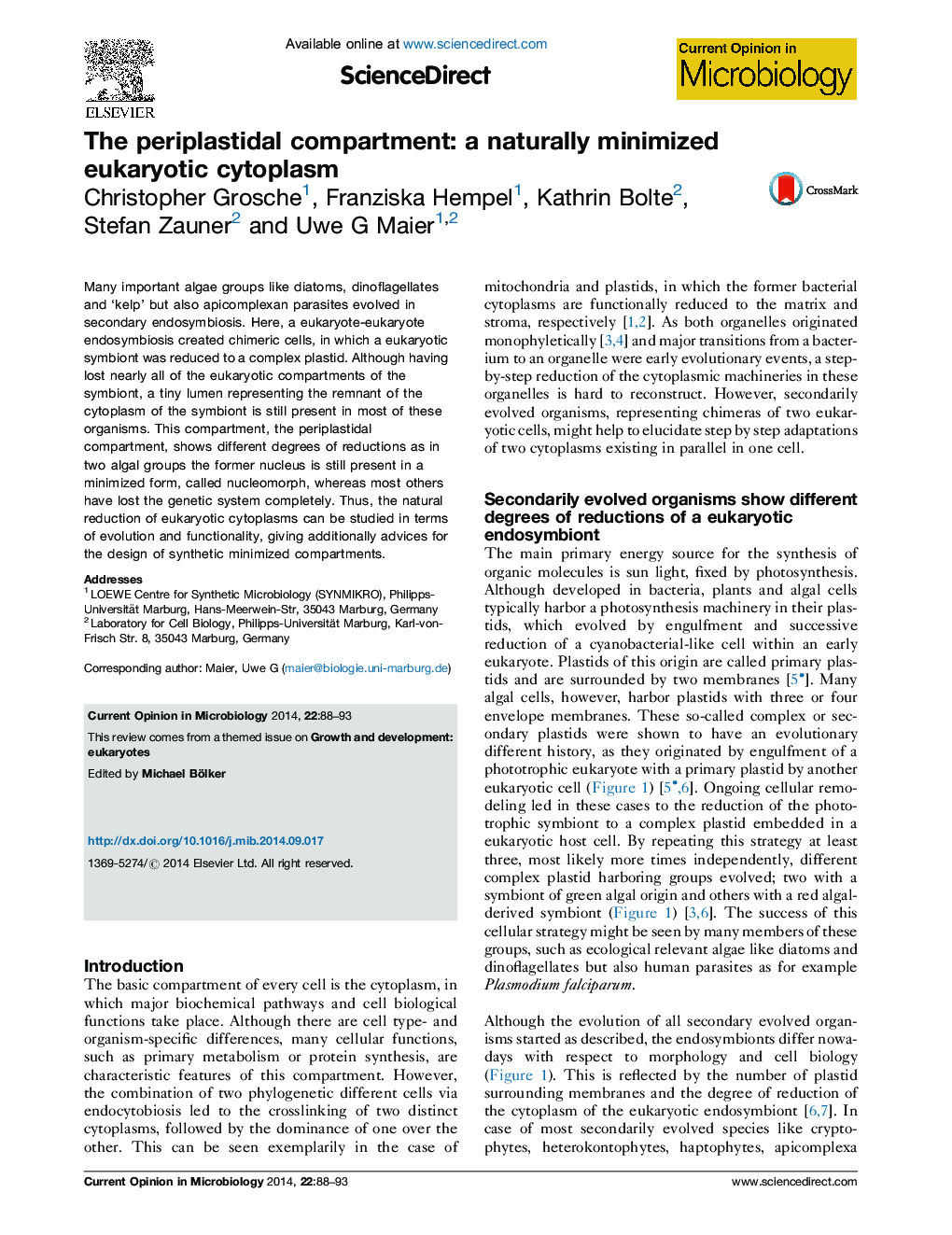 The periplastidal compartment: a naturally minimized eukaryotic cytoplasm