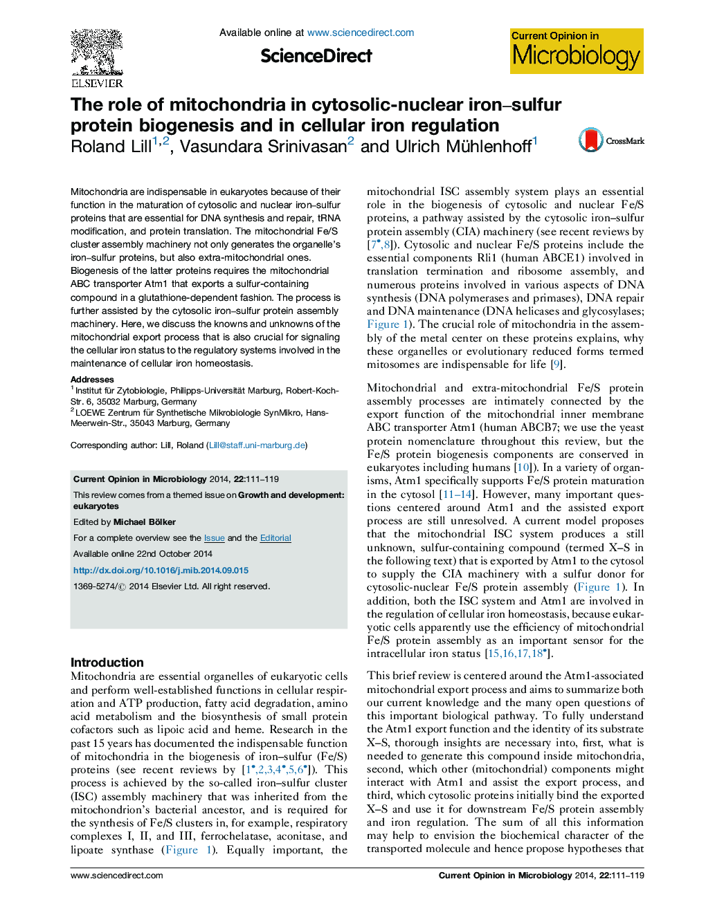 The role of mitochondria in cytosolic-nuclear iron-sulfur protein biogenesis and in cellular iron regulation