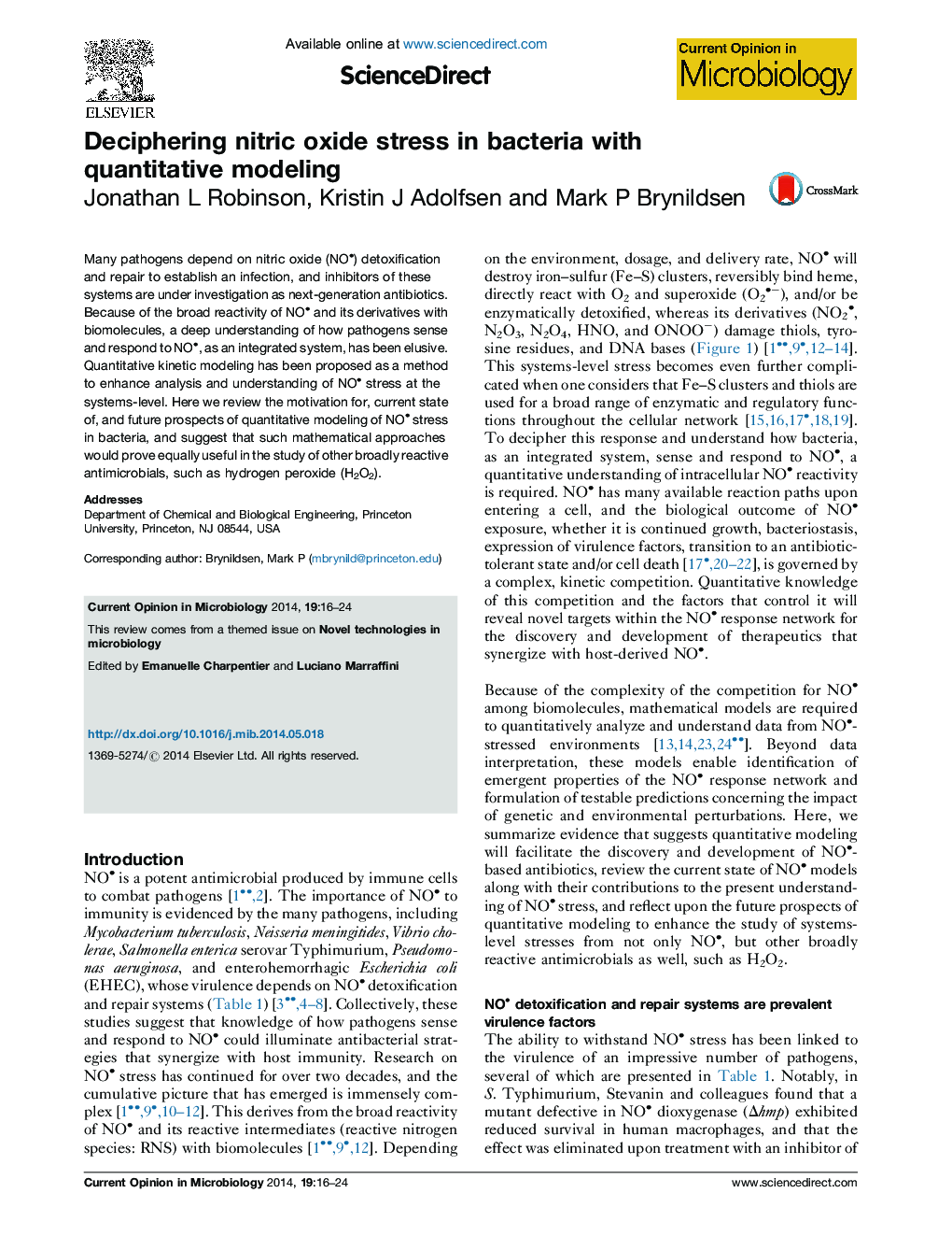 Deciphering nitric oxide stress in bacteria with quantitative modeling