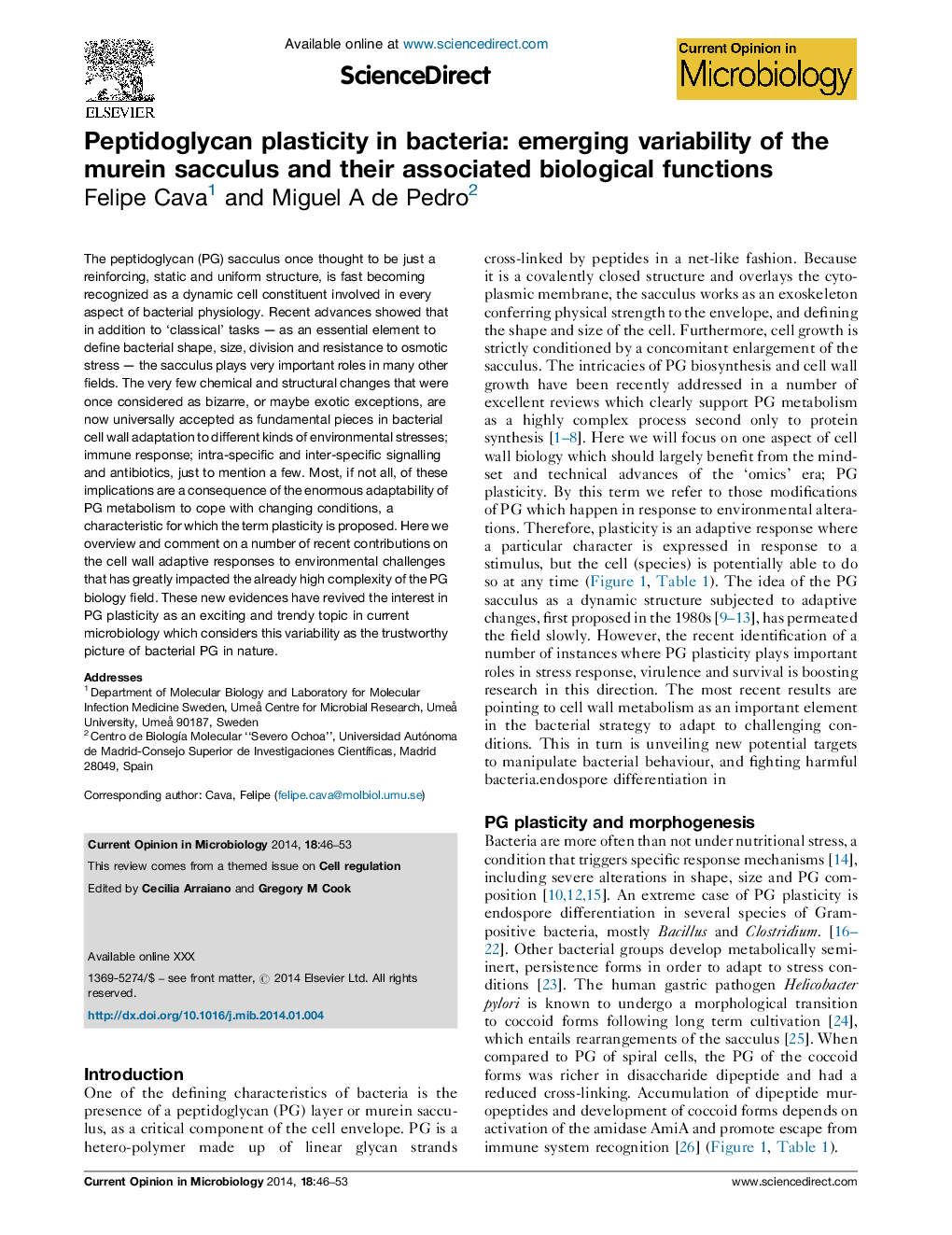 Peptidoglycan plasticity in bacteria: emerging variability of the murein sacculus and their associated biological functions