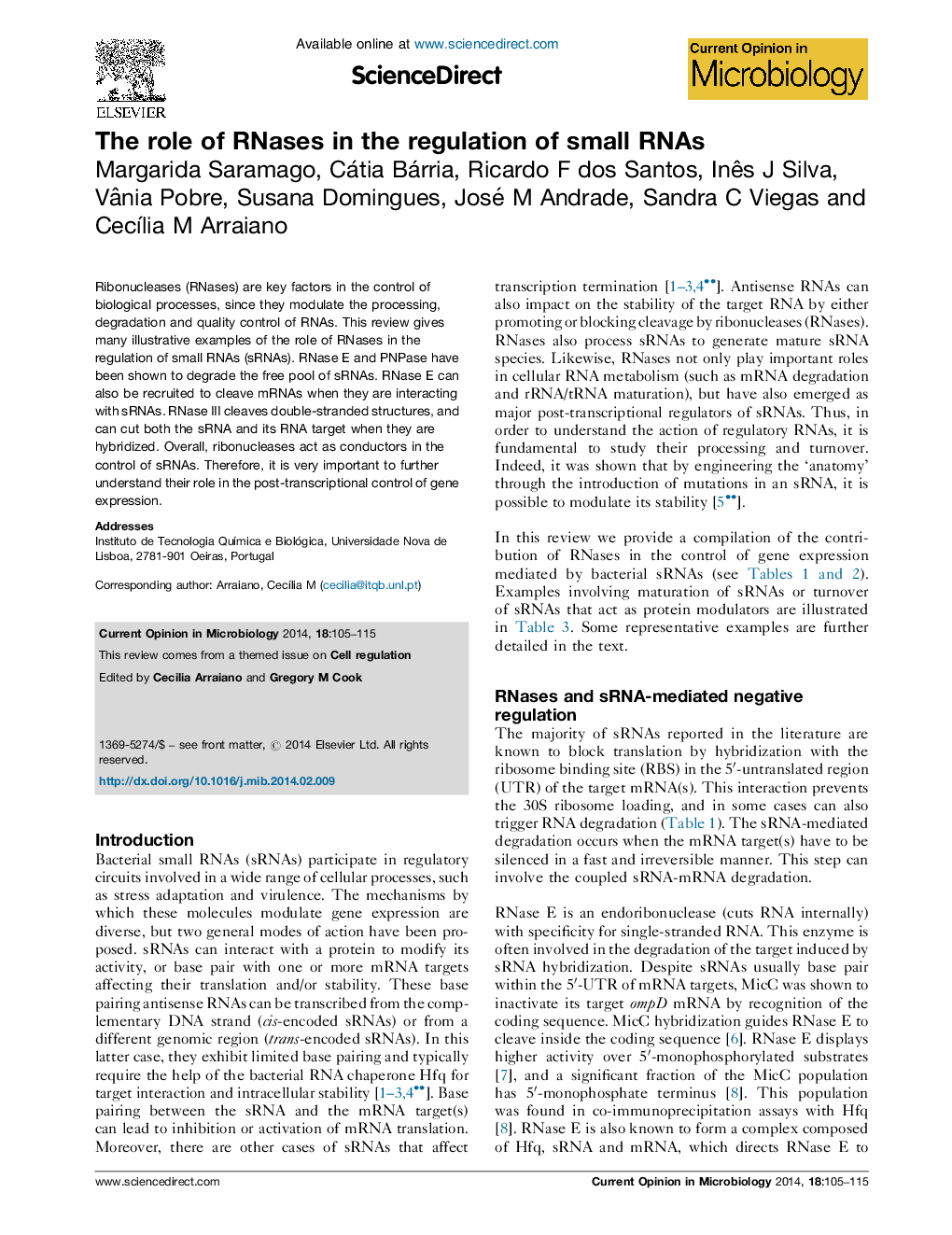 The role of RNases in the regulation of small RNAs