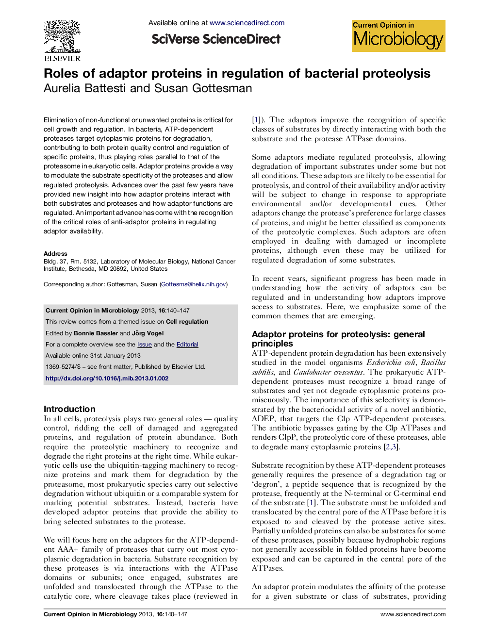 Roles of adaptor proteins in regulation of bacterial proteolysis