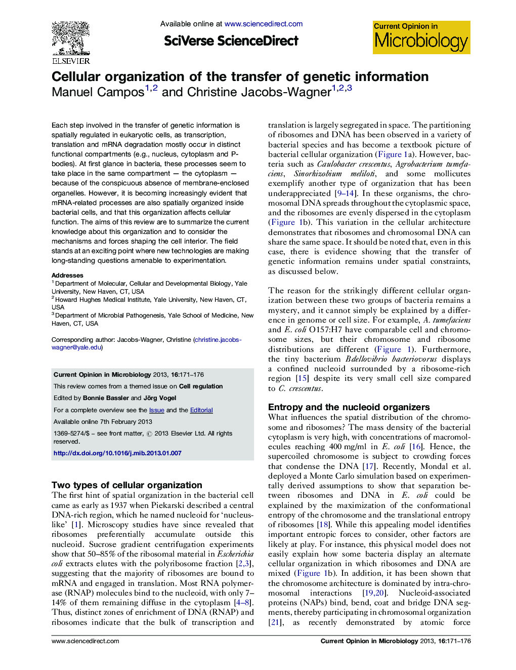 Cellular organization of the transfer of genetic information