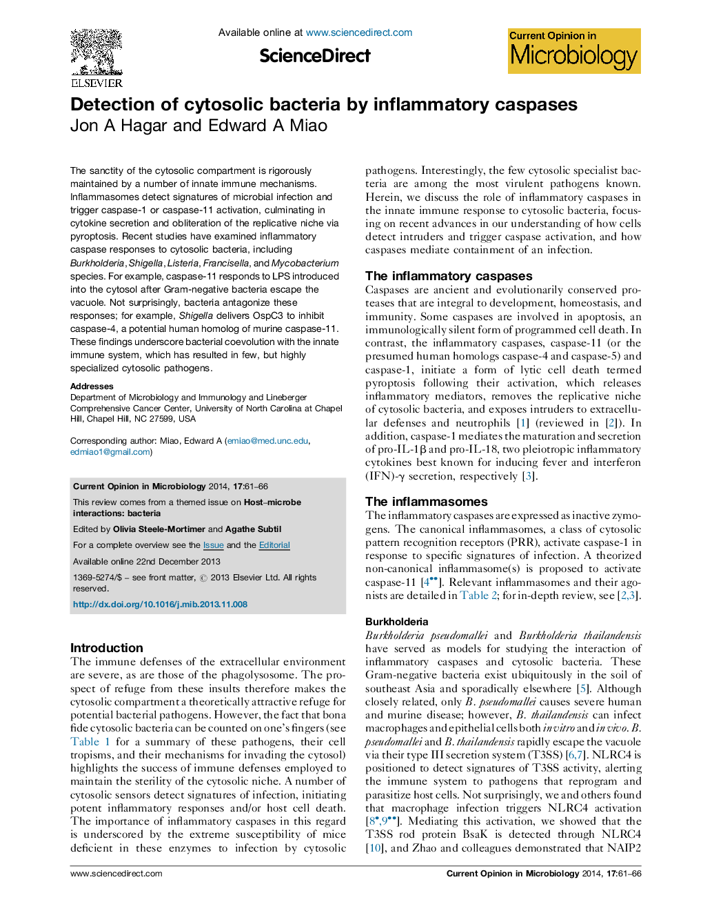 Detection of cytosolic bacteria by inflammatory caspases