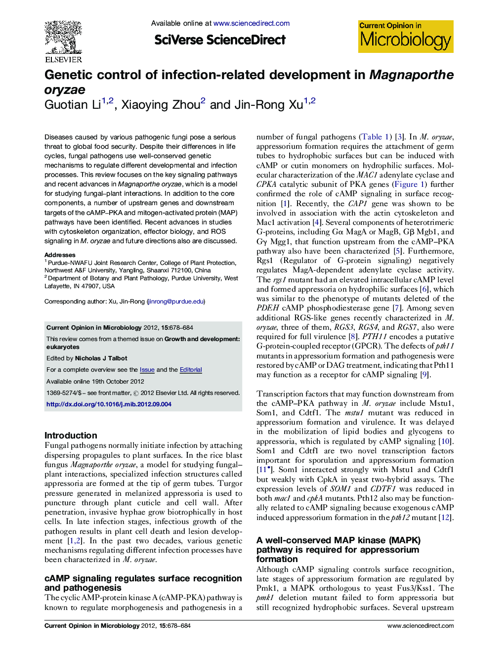 Genetic control of infection-related development in Magnaporthe oryzae