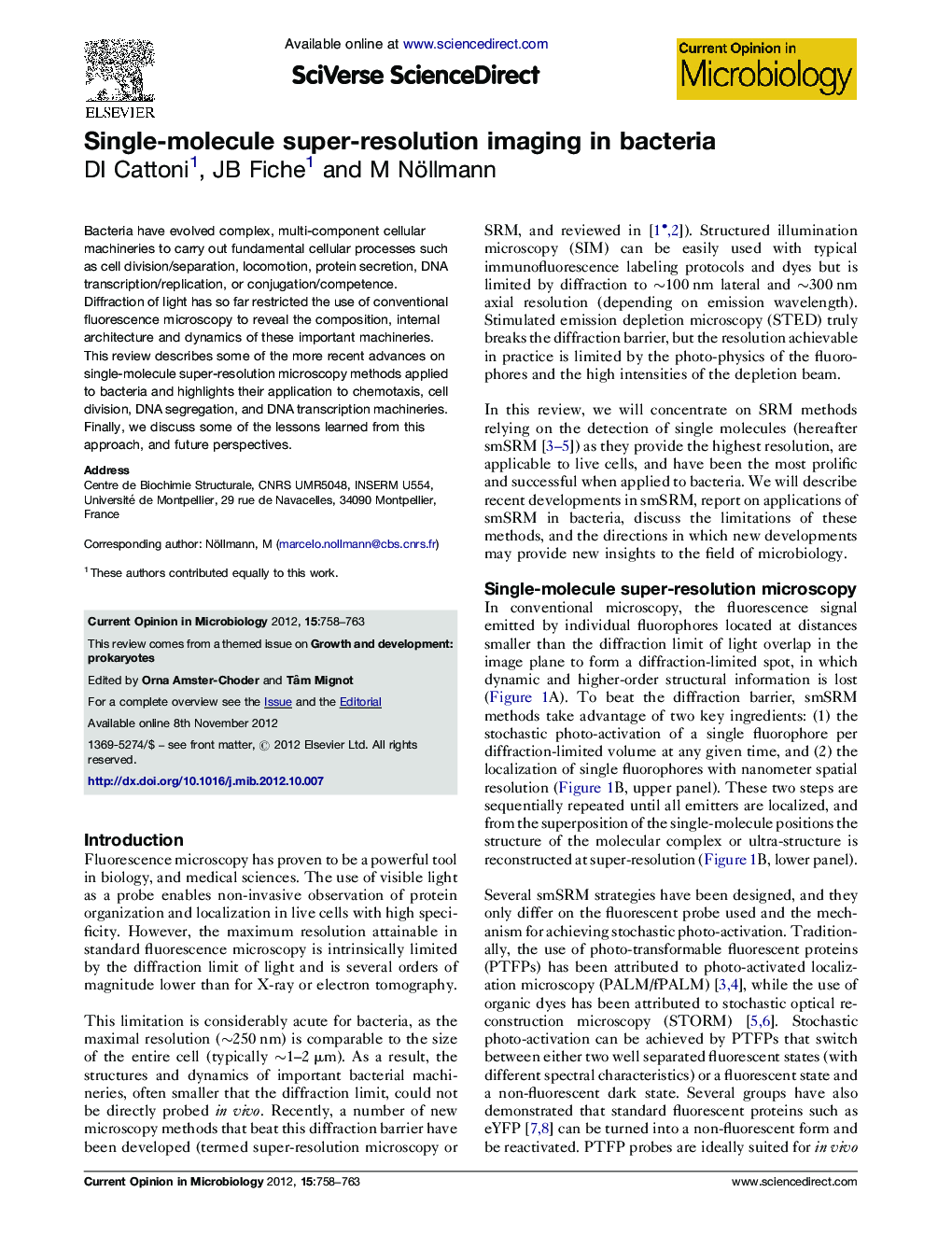 Single-molecule super-resolution imaging in bacteria