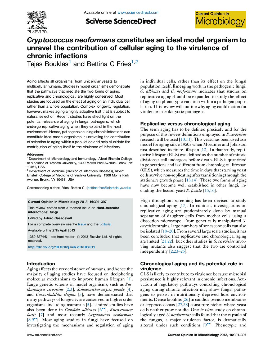 Cryptococcus neoformans constitutes an ideal model organism to unravel the contribution of cellular aging to the virulence of chronic infections