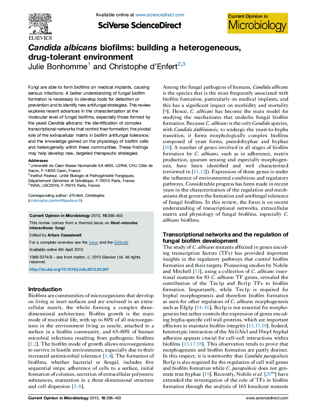 Candida albicans biofilms: building a heterogeneous, drug-tolerant environment