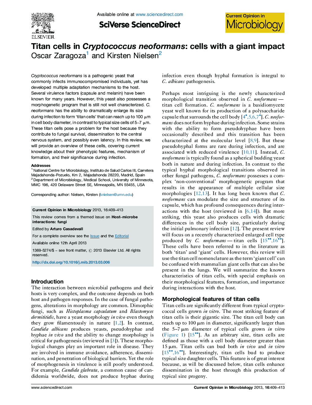 Titan cells in Cryptococcus neoformans: cells with a giant impact