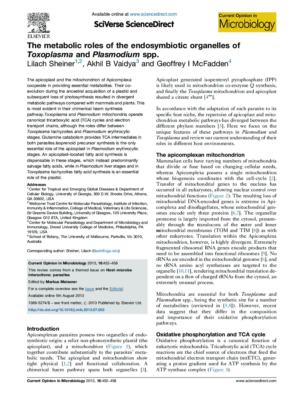 The metabolic roles of the endosymbiotic organelles of Toxoplasma and Plasmodium spp.