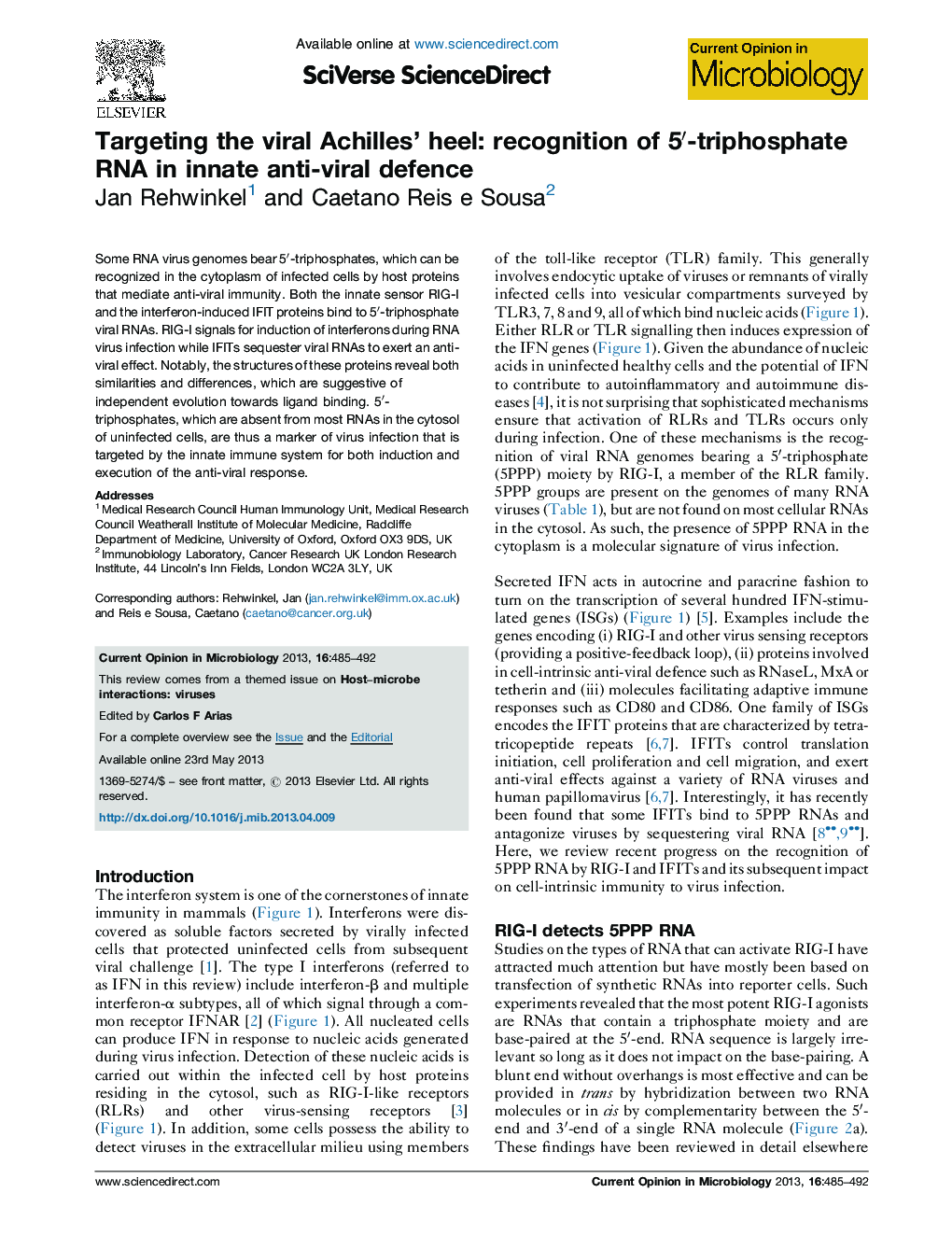 Targeting the viral Achilles' heel: recognition of 5â²-triphosphate RNA in innate anti-viral defence